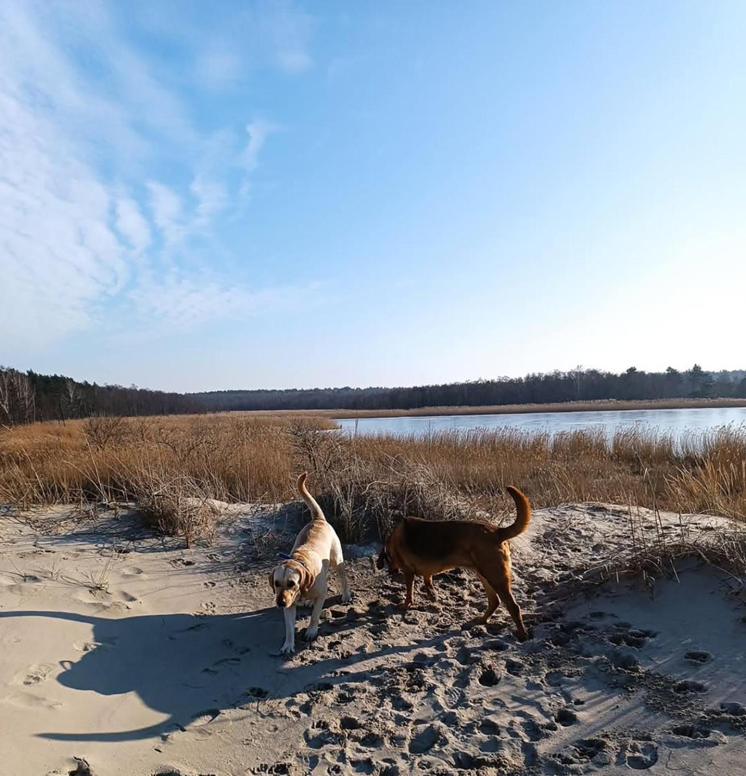 Sunny Place - Funny Place, Ze Slonecznym Ogrodkiem Na Wyspie Sobieszewskiej - Baltic Line *